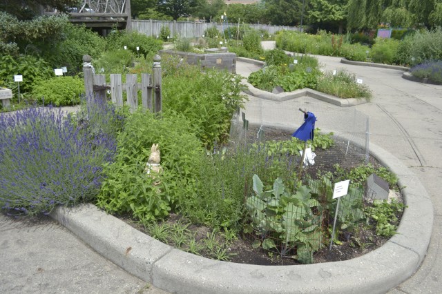 ASFS Chicago and East Lansing June 2013 158