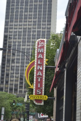 ASFS Chicago and East Lansing June 2013 338