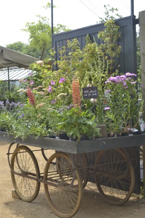 ASFS Chicago and East Lansing June 2013 484