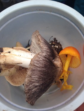 2013-10-19 12.29.03-1