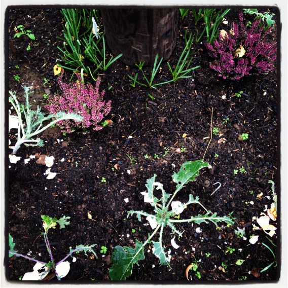 2013-11-06 13.21.12-2