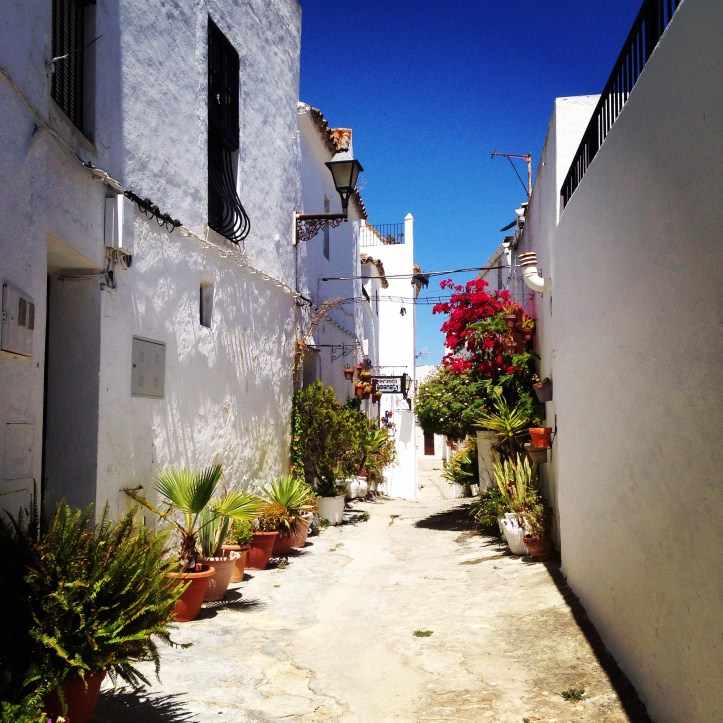 2016-06-20 15.53.07-1.jpg