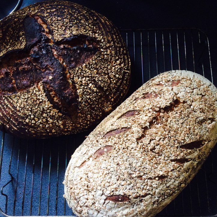 52 weeks of sourdough wk7.2