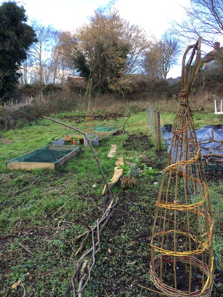 allotment winter2018